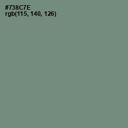 #738C7E - Xanadu Color Image