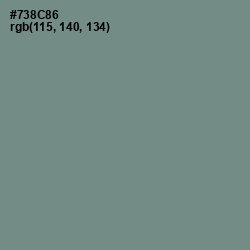 #738C86 - Blue Smoke Color Image