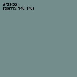 #738C8C - Blue Smoke Color Image