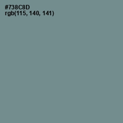 #738C8D - Blue Smoke Color Image