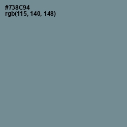 #738C94 - Slate Gray Color Image