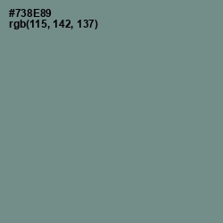 #738E89 - Blue Smoke Color Image