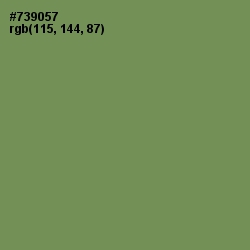 #739057 - Glade Green Color Image