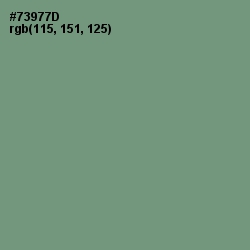 #73977D - Laurel Color Image