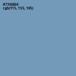 #739BB9 - Ship Cove Color Image