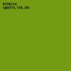 #739C14 - Limeade Color Image