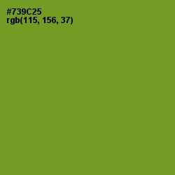 #739C25 - Olive Drab Color Image