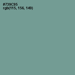 #739C95 - Juniper Color Image