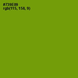 #739E09 - Limeade Color Image