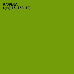 #739E0A - Limeade Color Image