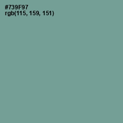 #739F97 - Juniper Color Image