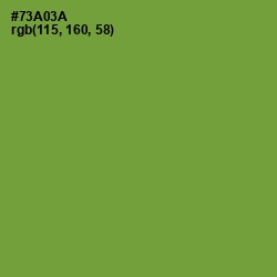 #73A03A - Olive Drab Color Image