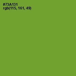 #73A131 - Olive Drab Color Image