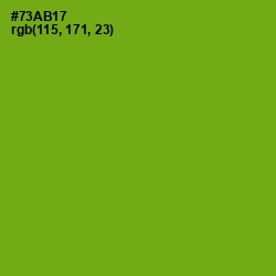 #73AB17 - Christi Color Image