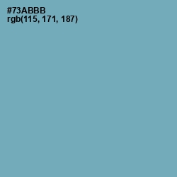 #73ABBB - Neptune Color Image