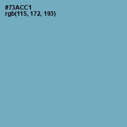 #73ACC1 - Danube Color Image