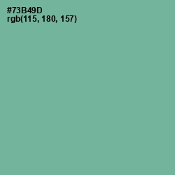 #73B49D - Sea Nymph Color Image