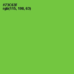 #73C63F - Chartreuse Color Image