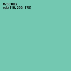 #73C8B2 - De York Color Image