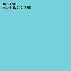 #73D2DC - Viking Color Image