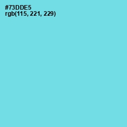 #73DDE5 - Aquamarine Blue Color Image