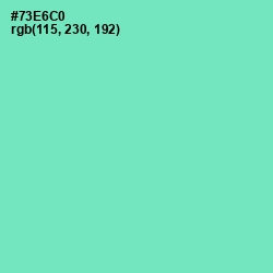 #73E6C0 - Aquamarine Color Image