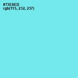 #73E8ED - Spray Color Image