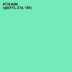 #73EAB9 - De York Color Image