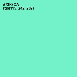 #73F2CA - Aquamarine Color Image