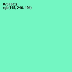 #73F6C2 - Aquamarine Color Image