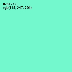 #73F7CC - Aquamarine Color Image