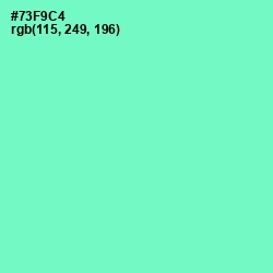 #73F9C4 - Aquamarine Color Image