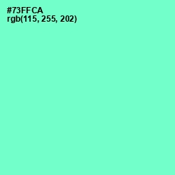 #73FFCA - Aquamarine Color Image