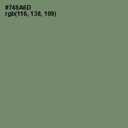 #748A6D - Camouflage Green Color Image