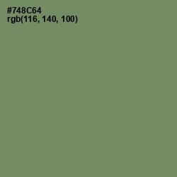 #748C64 - Camouflage Green Color Image