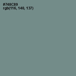 #748C89 - Blue Smoke Color Image