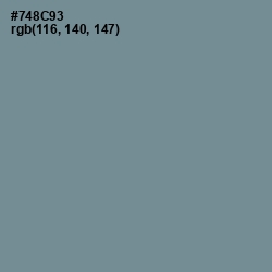 #748C93 - Slate Gray Color Image