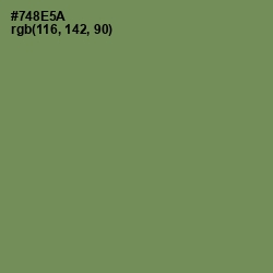 #748E5A - Glade Green Color Image