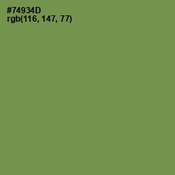 #74934D - Glade Green Color Image