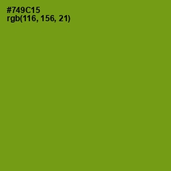 #749C15 - Limeade Color Image