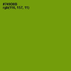 #749D0B - Limeade Color Image
