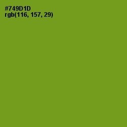 #749D1D - Trendy Green Color Image