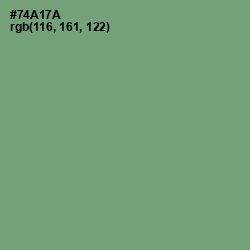 #74A17A - Fern Color Image