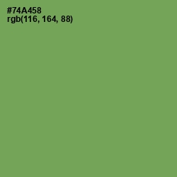 #74A458 - Asparagus Color Image