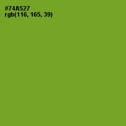 #74A527 - Christi Color Image