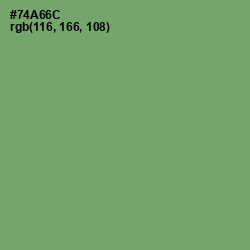 #74A66C - Fern Color Image