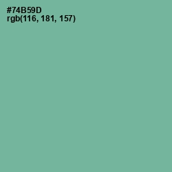 #74B59D - Sea Nymph Color Image