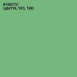 #74B77C - Fern Color Image