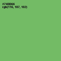 #74BB66 - Fern Color Image