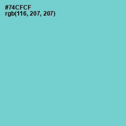 #74CFCF - Downy Color Image